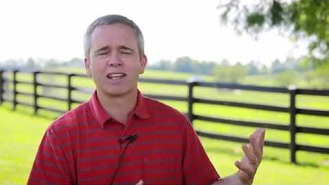 Two Tapit Yearlings from Two Superstar Producers at Taylor Made