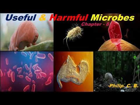 Std 9th | Science | Useful and Harmful Microbes Ch-8🔅🪄👾🦠