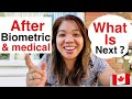 Next Steps After Biometric and Medical Exam for Canada Immigration | Sarah Buyucan