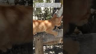 Tutmayın Onu.🤗 Resimi