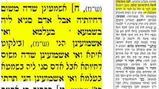 הדף היומי מסכת ערכין דף כח Daf yomi Arachin daf 28