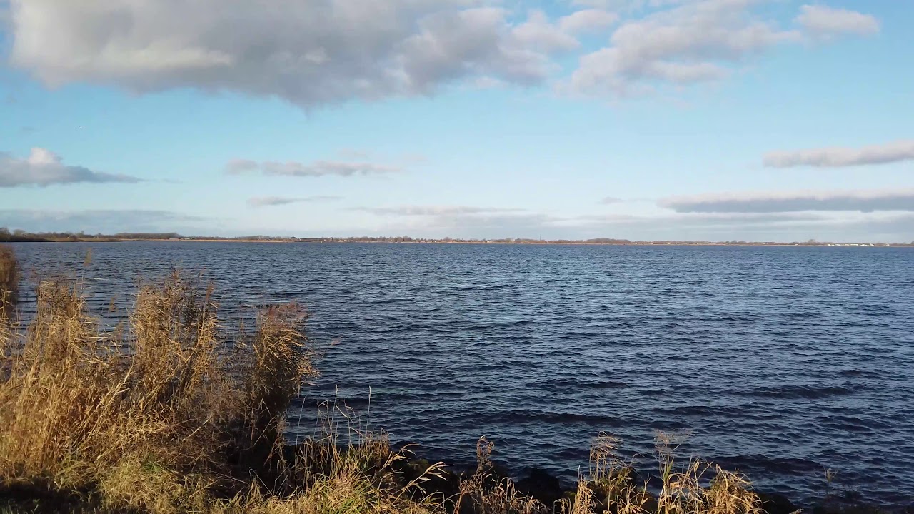 Langs het Uitgeestermeer 2018