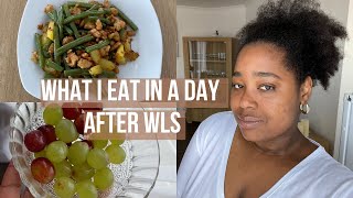 What I Eat In A Day || Soft Food Stage || Weight Loss Surgery || Week 3 & 4 screenshot 2