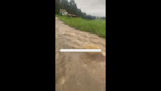 LHMT įspėja dėl gausaus lietaus: kyla vandens lygis