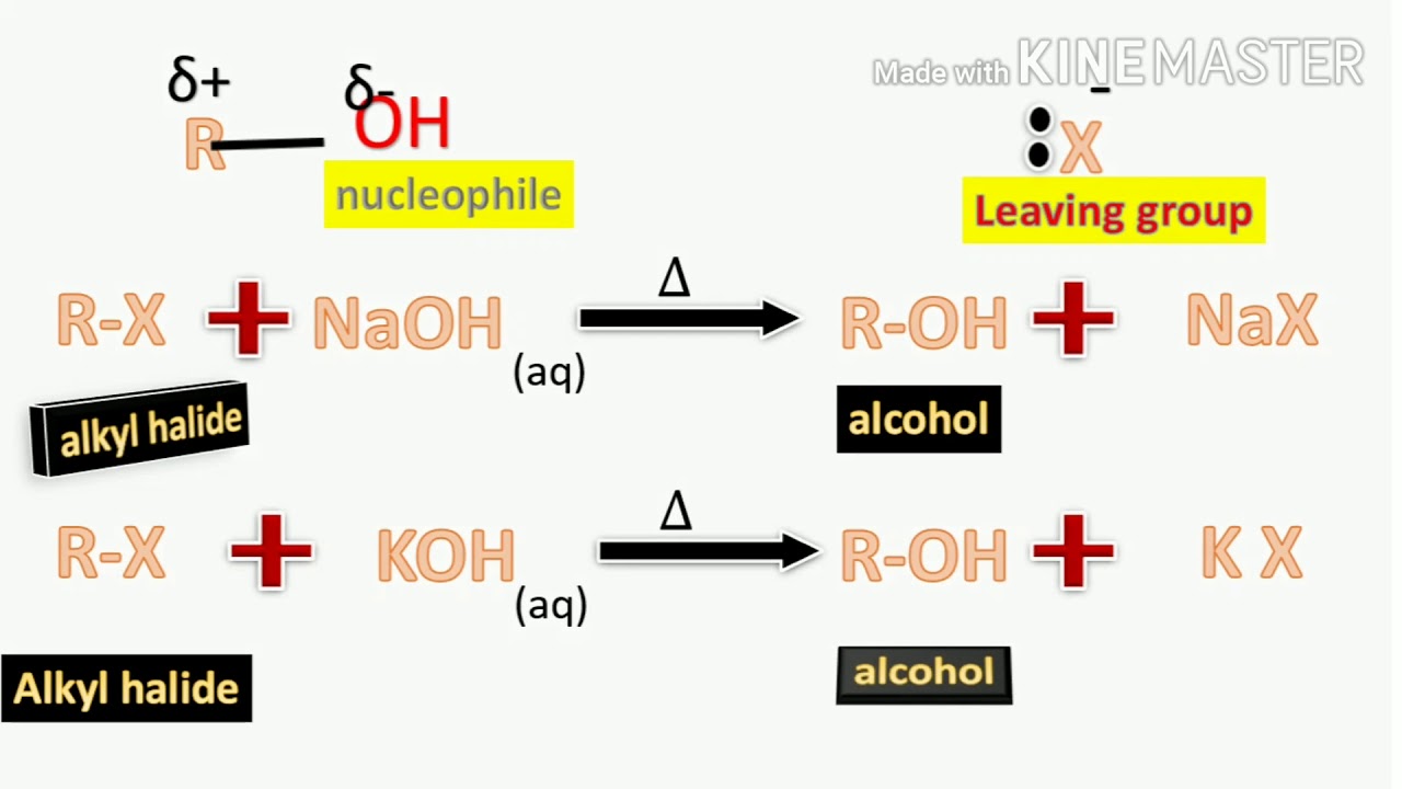 Halogen derivatives part 5 Chemical properties of alkyl and aryl halides YouTube