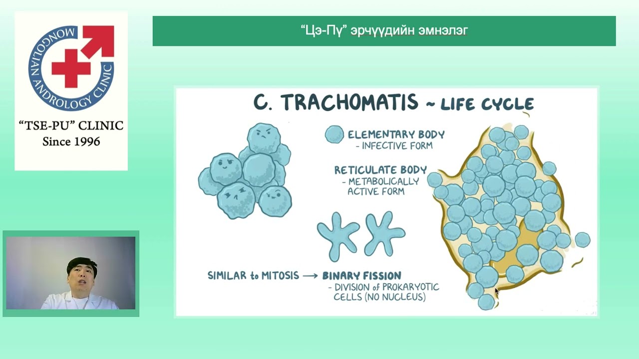 Хламидын гаралтай түрүү булчирхайн үрэвсэл