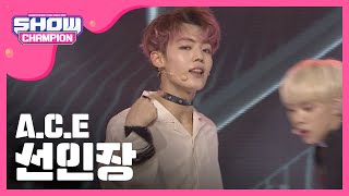 [Show Champion] A.C.E - 선인장 (A.C.E - CACTUS) l EP.229