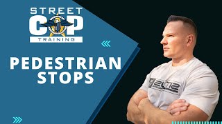 Pedestrian Stops Terry V Ohio