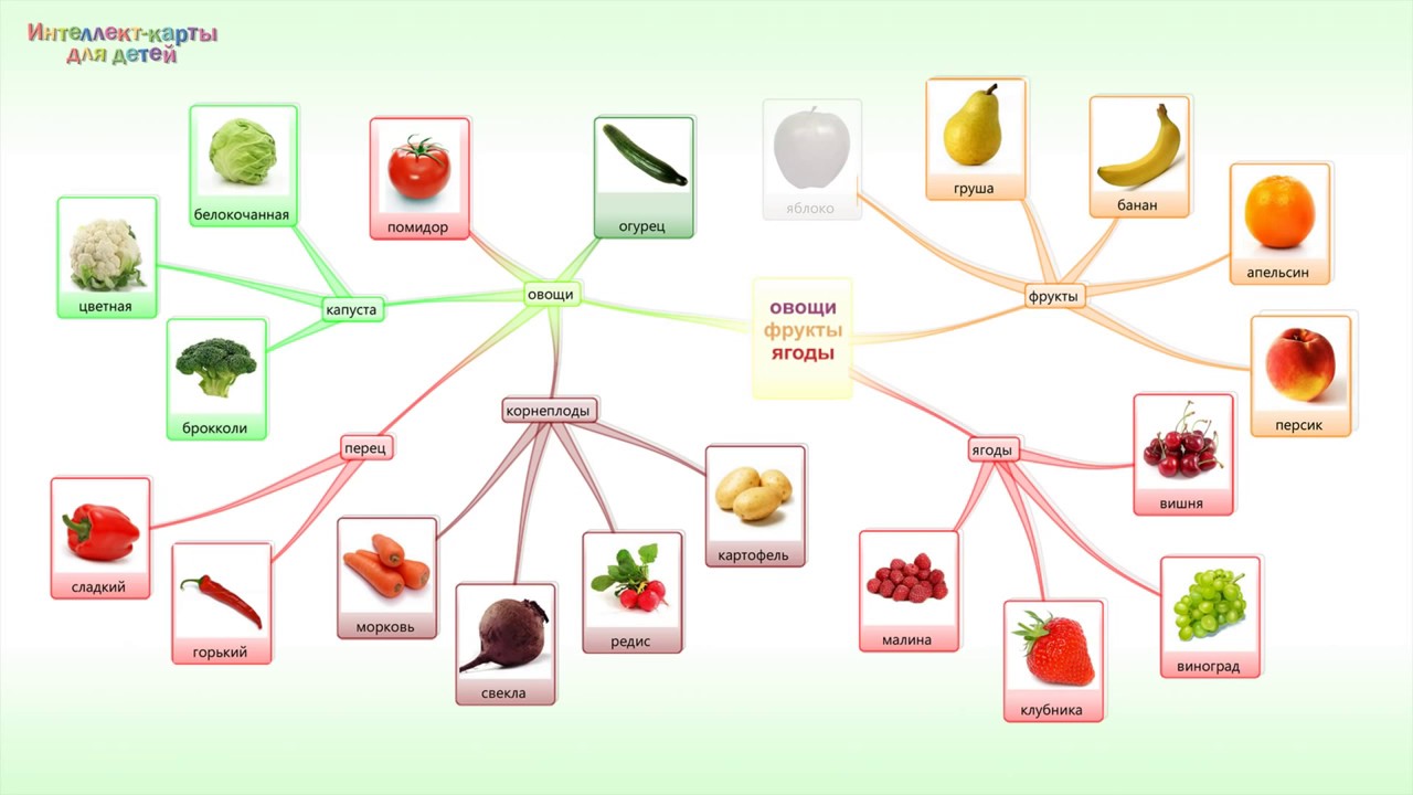 Плодовое карта. Интеллектуальные карты для дошкольников. Интеллектуальная карта фрукты овощи. Интеллект карта для дошкольников. Интеллектуальные карты в детском саду.