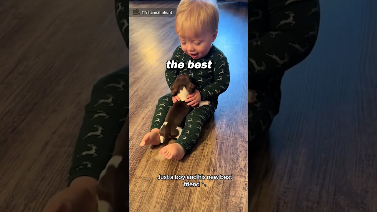 This Is So Cute ❤️🥺 - WorldBeAmazed