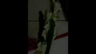 Download lagu Sing, song, Menyanyi, lagu: Return of the Condor Heroes,Ost Pendekar Rajawali , Forever in one, mp💟