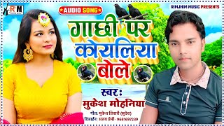 गाछी पर कोयलिया बोले || mukesh mohniya || भोजपुरी सोंग || gachi par koyliya bole || मुकेश मोहनिया