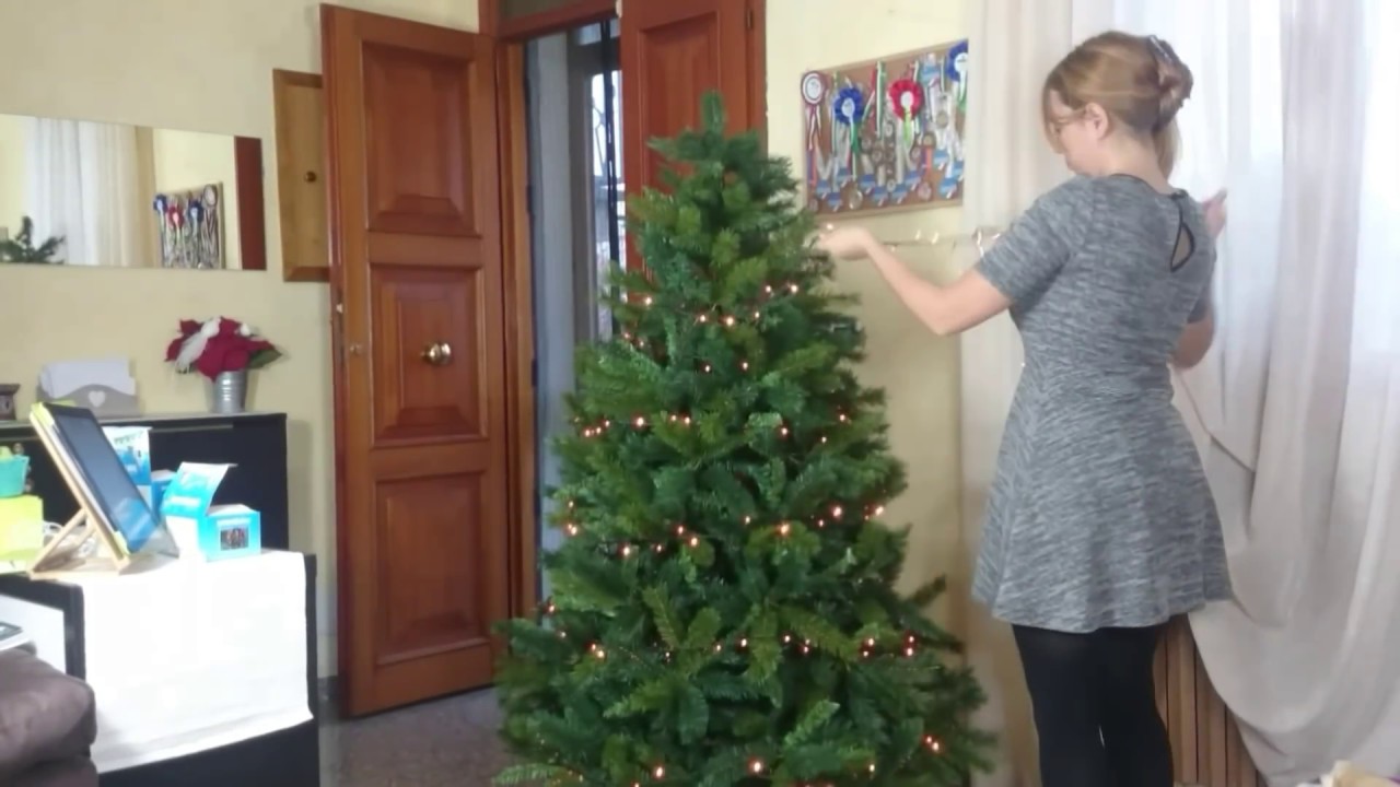 Facciamo l'Albero di Natale! (timelapse)