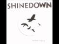 Shinedown - Lost In The Crowd (Acoustic Version)