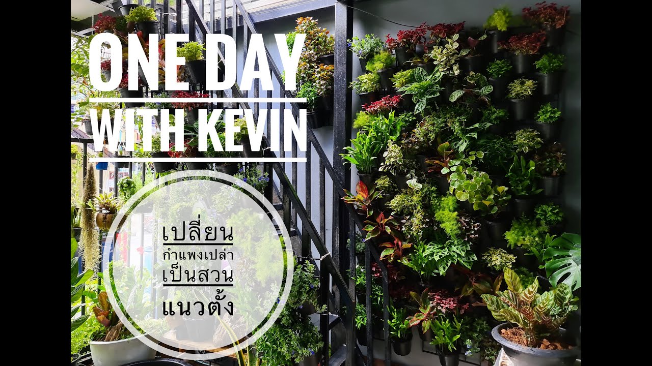 กิจกรรมช่วง NEW NORMAL : เปลี่ยนกำแพงบ้าน กลายเป็น สวนแนวตั้ง( VERTICAL GARDEN) / ONE DAY WITH KEVIN