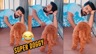 Ram Charan Funny Moments With His Pet Dog | Ram Charan Pets Videos | News Buzz screenshot 3