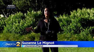 Nearly 50 light poles missing on DuSable Lake Shore Drive, five on ground