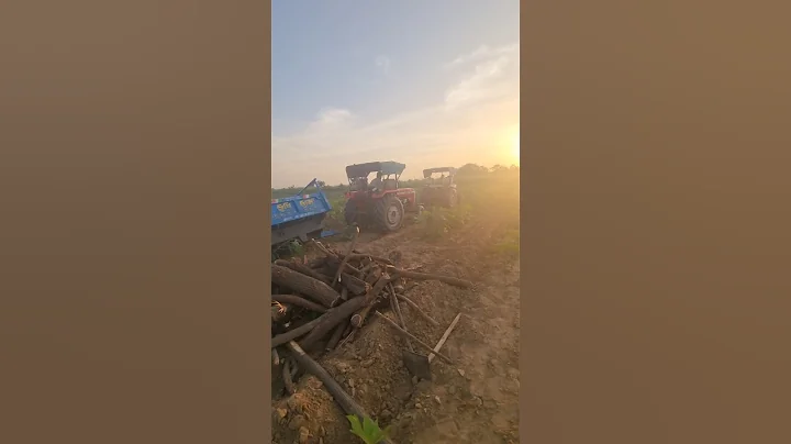 Massey ferguson 244 NEW MODEL.  #punjabi ##farming #agriculture #farm #farmlife #farmer #trac