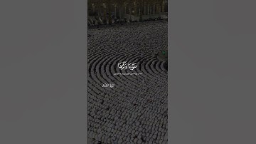 ولله يسجد من فى السموات والأرض طوعا وكرها وظللهم بالغدو والأصال سورة الرعد ايه ١٥ اسلام صبحي