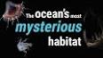 The Enigmatic Sea: Exploring the Mysteries of Earth's Oceans ile ilgili video