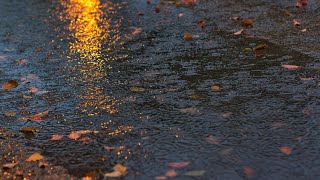 Rain Sounds For Sleeping  99% Instantly Fall Asleep With Rain Sound At Night