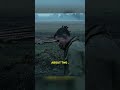 Sounded Like They Wanted A Fight | Fury