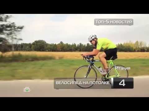 Новости дмитровского района за сегодня