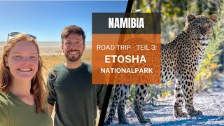 Etosha Nationalpark / Namibia Roadtrip - Teil 3
