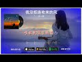 2024華語網絡流行音樂 我沒有拒絕吹來的風 王一佳 動態歌詞 2024華語網絡流行音樂 我沒有拒絕吹來的風 王一佳 動態歌詞