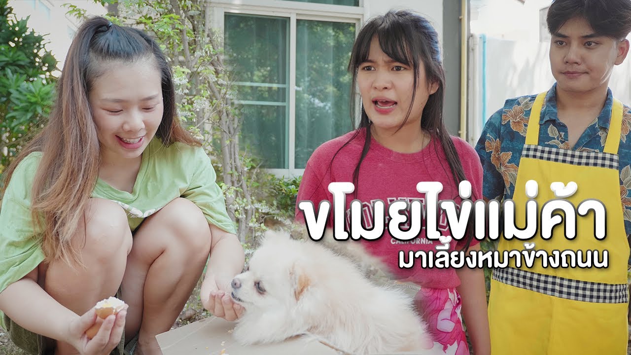 ขโมยไข่แม่ค้า มาเลี้ยงหมาข้างถนน หนังสั้น