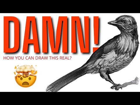 How to Draw a Bird Easy Tutorial | Step-by-step tutorial | Realistic Bird