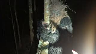 Download Lagu Camping Horror ‼️Bukan Kabut Biasa… Gunung Pendil Mulai Menunjukkan Terornya #campingsolo  MP3