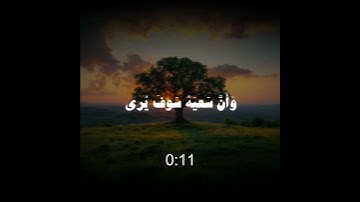 سورة النجم الآية(39) إلى (41)