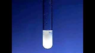 Reaction Of Nacl Sodium Chloride And Agno3 Silver Nitrate Then Ammonia