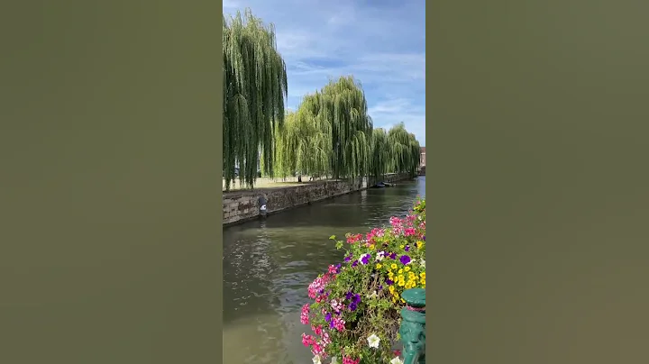 Canal singers, Gent