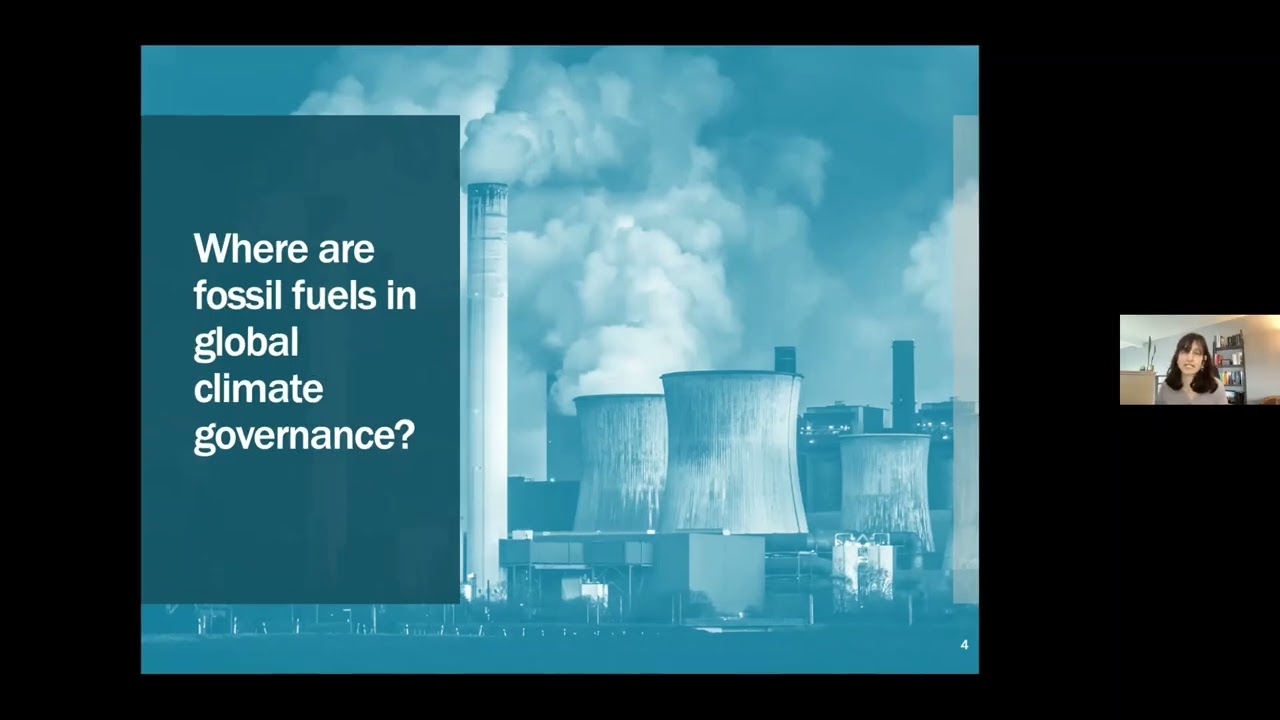 The International Political Economy of Fossil Fuel Supply
