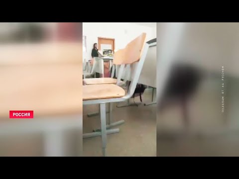 учителя спасли ученики