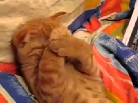 likeloverr.com fun.php id=12.mp4