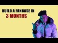 How To Build A Fanbase In 3 Months! | $5 Music Marketing Strategy