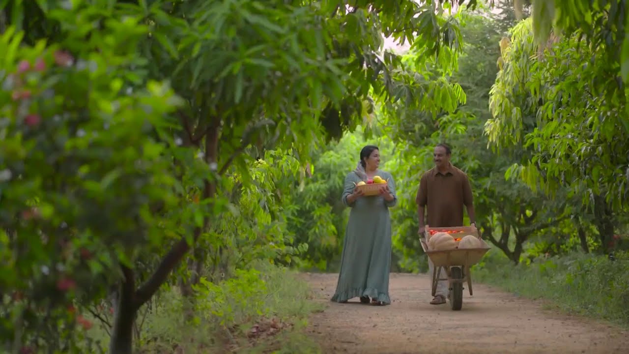 പൂക്കളും പച്ചക്കറികളും വൃക്ഷലതാദികളുമുള്ള ഒരു സ്വർഗം! 'അത്താച്ചി' ഫാംസിന്റെ വിശേഷങ്ങൾ- കൃഷിഭൂമി