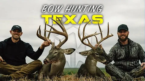 This place is a bow hunters PARADISE!