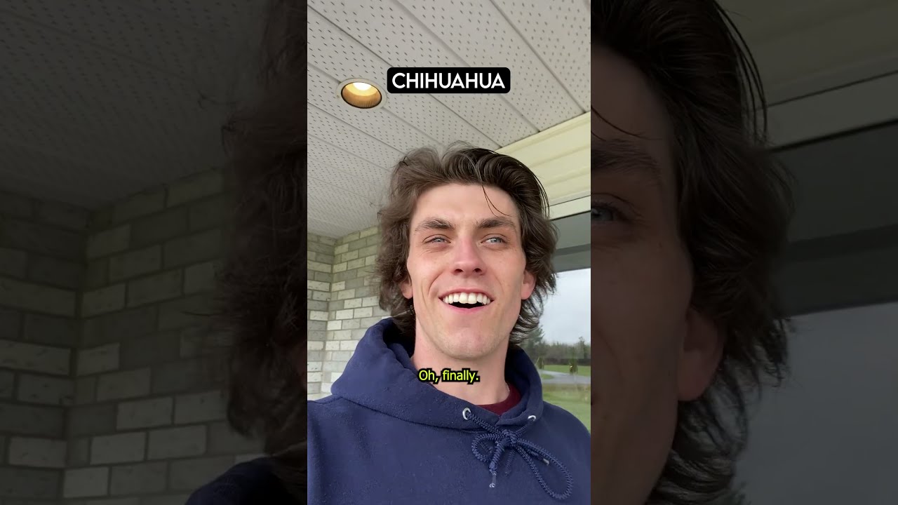 How Dog Breeds React To Spring