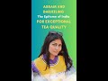 Assam and Darjeeling: The Epitome of India for Exceptional Tea Quality