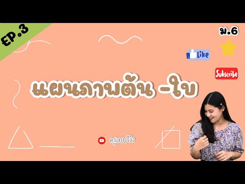 การนำเสนอข้อมูล : แผนภาพต้น-ใบ