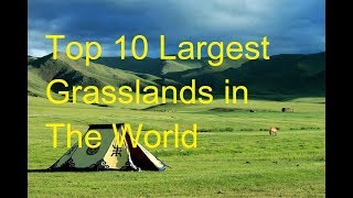 Top 10 Largest Grasslands in The World | World best largest Grasslands