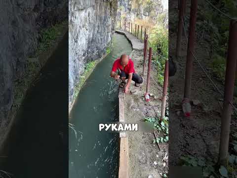 70-летний ДЕД спасает ДЕРЕВНЮ🤯🏔️👨👦👦
