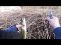 Ловля щуки на спиннинг ранней весной в Stockholm Lidingö (pike fishing)