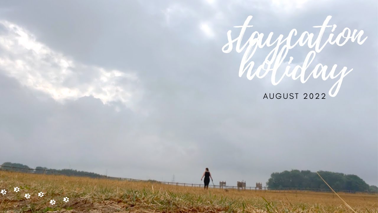 STAYCATION WITH DOG || August 2022 vlog