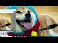 Beginning of video