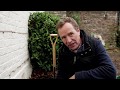 裸苗（つるバラ）を植える - デビッド・オースチン・ロージズ